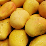 المانجو